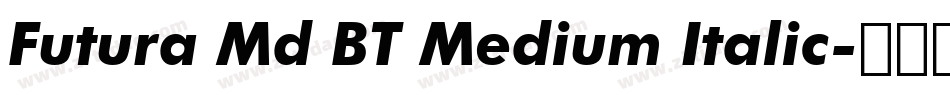 Futura Md BT Medium Italic字体转换